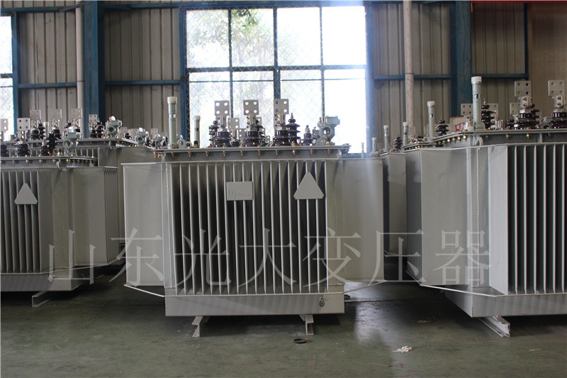 宣汉S20-500KVA/10KV